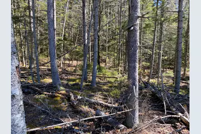 Lot 5C Journeys End Lane, Surry, ME 04684 - Photo 9
