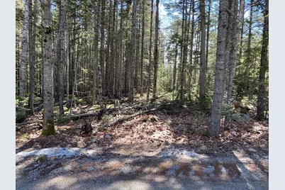 Lot 5C Journeys End Lane, Surry, ME 04684 - Photo 7