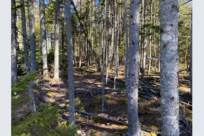 Lot 5C Journeys End Lane, Surry, ME 04684 - Photo 13