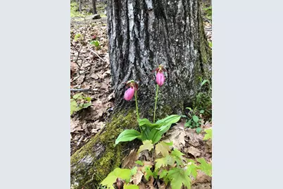 105 Cushman Point Road, Wiscasset, ME 04578 - Photo 103