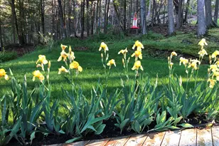 105 Cushman Point Rd, Wiscasset, ME 04578 - Photo 101