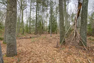 79 Country Way, Lyman, ME 04002 - Photo 41