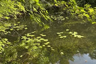 210B Trues Pond Rd, Montville, ME 04941 - Photo 29