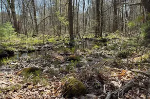 0 Scarlet Way, Lebanon, ME 04027 - Photo 9