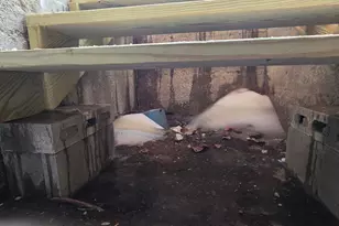 127 Bryant Pond Rd, Fort Fairfield, ME 04742 - Photo 31