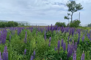 1047 Boot Cove Rd, Lubec, ME 04652 - Photo 57