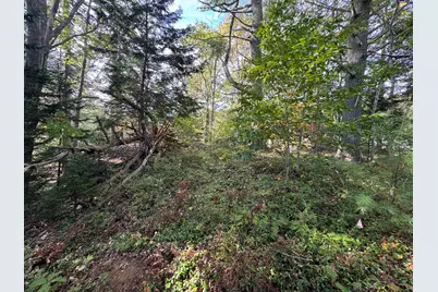 0 Main Road, Phippsburg, ME 04565 - Photo 5