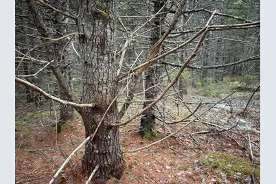 Wa31P01L21 Kings Street, Dennysville, ME 04628 - Photo 23