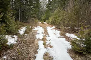 Wa31P01L21 Kings St, Dennysville, ME 04628 - Photo 1