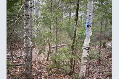 Wa31P01L21 Kings Street, Dennysville, ME 04628 - Photo 5