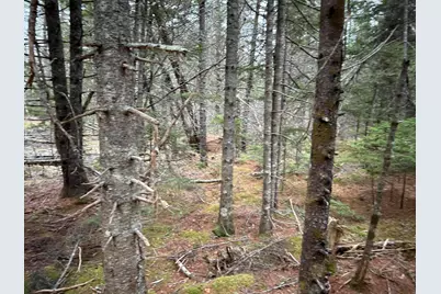 Wa31P01L21 Kings Street, Dennysville, ME 04628 - Photo 3