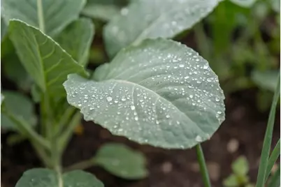 60 N Hill Road, Buckfield, ME 04220 - Photo 9