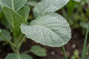 60 N Hill Rd, Buckfield, ME 04220 - Photo 9