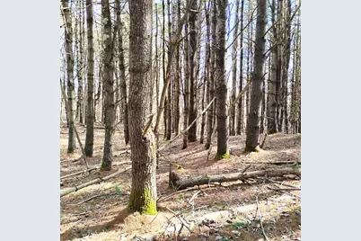 Lot 2 Father Rasle Road, Norridgewock, ME 04957 - Photo 7