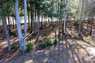 194 Loon Rd, Embden, ME 04958 - Photo 53