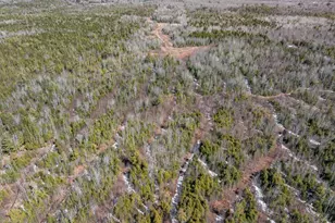 68 Tower Rd, Argyle Twp, ME 04468 - Photo 29