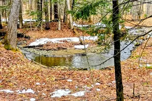 16 White Ave, Jay, ME 04239 - Photo 5