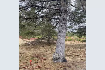 Lot 5 Copeland Hill Road, Holden, ME 04429 - Photo 3