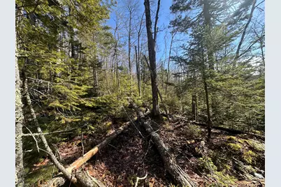 237 Knights Pond Road, Northport, ME 04849 - Photo 13