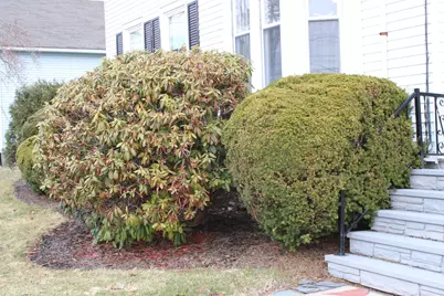 77 Granite Street, Biddeford, ME 04005 - Photo 23