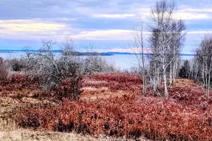 Lot 52 Us- Route 1, Robbinston, ME 04668 - Photo 1