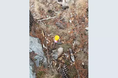 Tbd Lot D Agape Lane, Dexter, ME 04930 - Photo 39