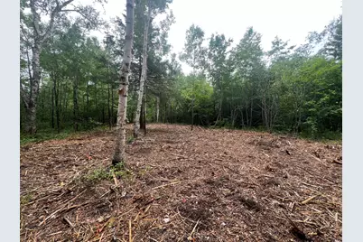 Lot 1 Puffins Lane, Machiasport, ME 04655 - Photo 5