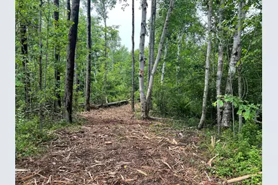 Lot 1 Puffins Lane, Machiasport, ME 04655 - Photo 7