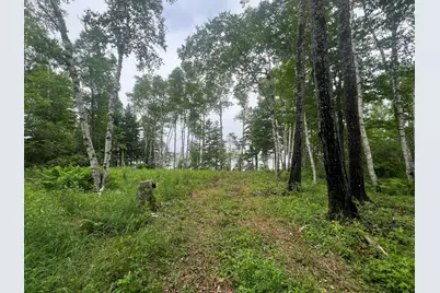 Lot 1 Puffins Lane, Machiasport, ME 04655 - Photo 1