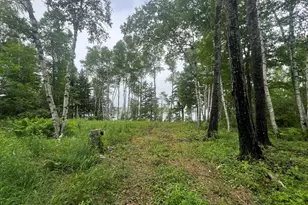 Lot 1 Puffins Ln, Machiasport, ME 04655 - Photo 1