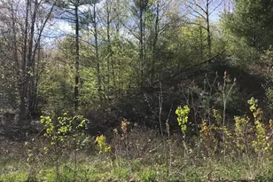 Lot 12 Prokey Dr, Limerick, ME 04048 - Photo 3