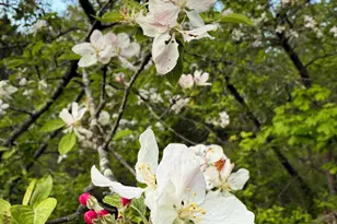 260 Clark Island Rd, Saint George, ME 04859 - Photo 51