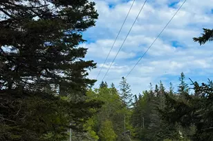 260 Clark Island Rd, Saint George, ME 04859 - Photo 49