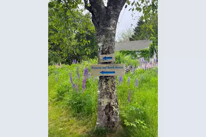 260 Clark Island Road, Saint George, ME 04859 - Photo 47