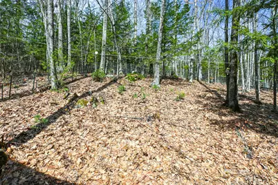 311 Milt Brown Road, Standish, ME 04084 - Photo 61