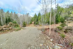 0 Pioneer Path, Aurora, ME 04408 - Photo 19
