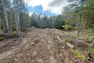 0 Pioneer Path, Aurora, ME 04408 - Photo 9