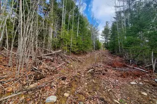 0 Pioneer Path, Aurora, ME 04408 - Photo 15