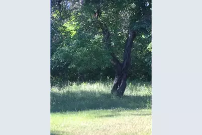 110 Jacksonville Road, East Machias, ME 04630 - Photo 5