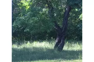 110 Jacksonville Rd, East Machias, ME 04630 - Photo 5