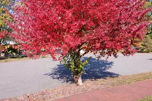 36 Colonial Rd, Portland, ME 04102 - Photo 51