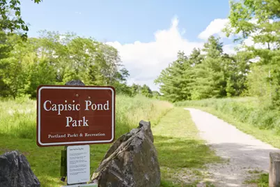 36 Colonial Road, Portland, ME 04102 - Photo 45