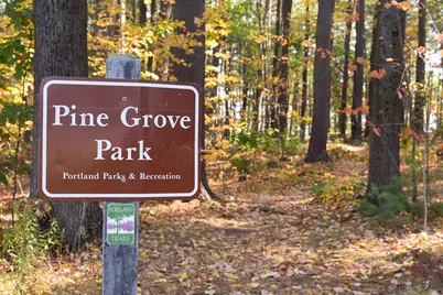 48 Pennell Avenue, Portland, ME 04103 - Photo 39