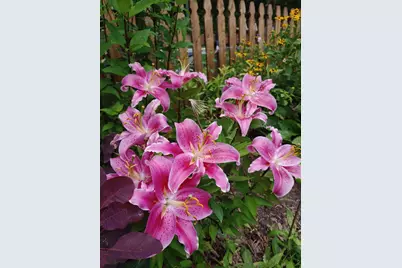 48 Pennell Avenue, Portland, ME 04103 - Photo 51