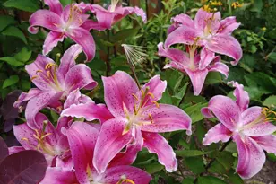 48 Pennell Ave, Portland, ME 04103 - Photo 51