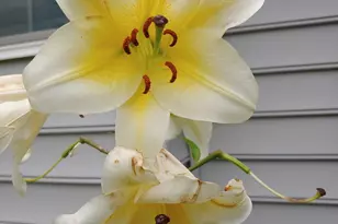 48 Pennell Ave, Portland, ME 04103 - Photo 49