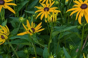 48 Pennell Ave, Portland, ME 04103 - Photo 59