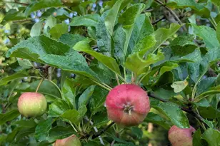 48 Pennell Ave, Portland, ME 04103 - Photo 57