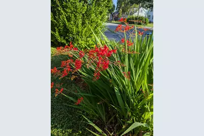 48 Pennell Avenue, Portland, ME 04103 - Photo 61