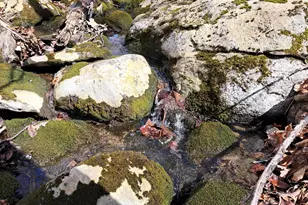 22 Mountainview Dr, Winterport, ME 04496 - Photo 29